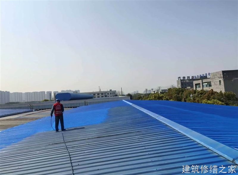 湛江2026廉江市 涂料 价格是多少