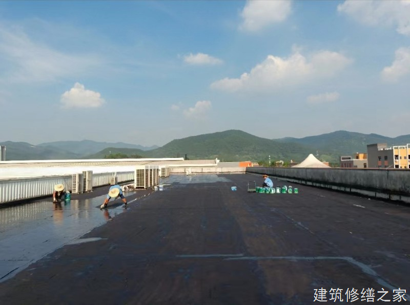 湛江2026吴川市 涂料 排名前十的源头厂家