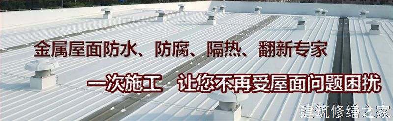 湛江2026雷州市 地下室堵漏 排名前十的源头厂家
